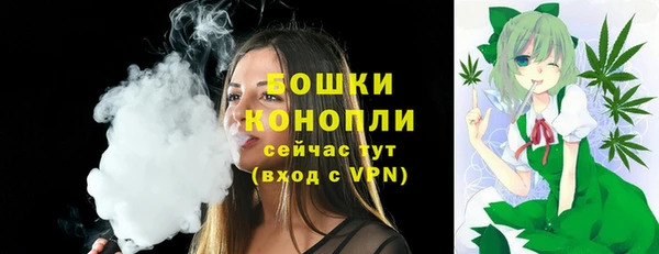 2c-b Богородск