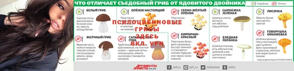 винт Богданович