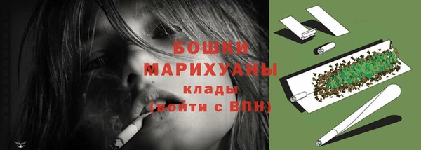 винт Богданович