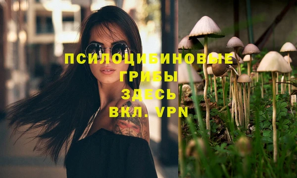 винт Богданович