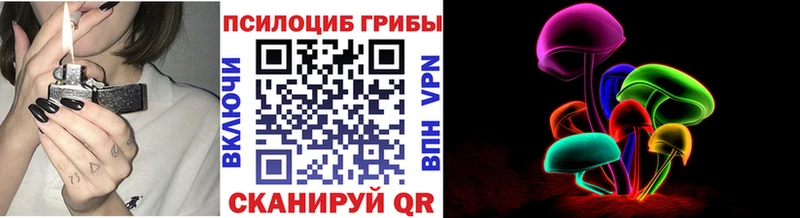 ссылка на мегу как войти Краснообск Псилоцибиновые грибы Psilocybe